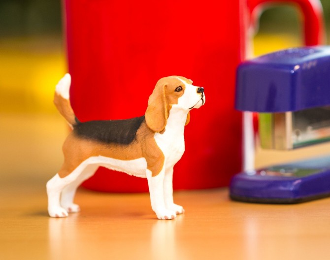 Figurka z psem Safari Ltd beagle